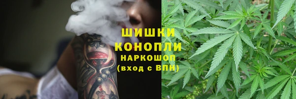 ГАЛЛЮЦИНОГЕННЫЕ ГРИБЫ Алзамай